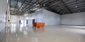 Tackling Post-Harvest Losses in Kenya with Solar-Powered Cold Storage