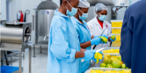How to Start a Fruit Juice Plant in Kenya – Full Guide