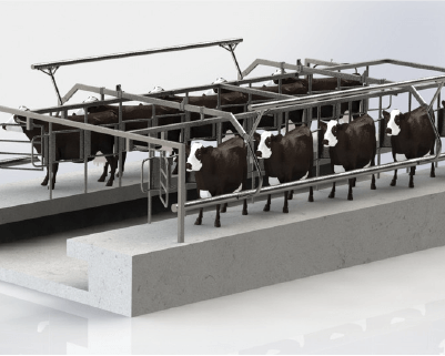 Milking palour